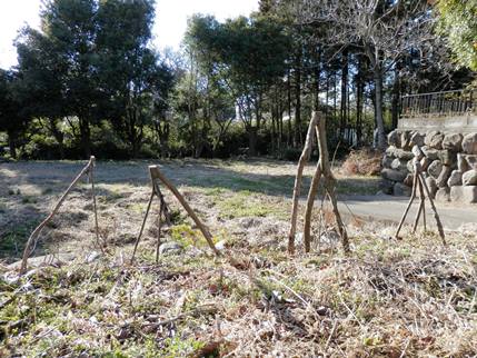 P3250035枝ブログ.jpg