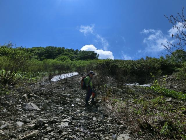 CIMG0699.jpg