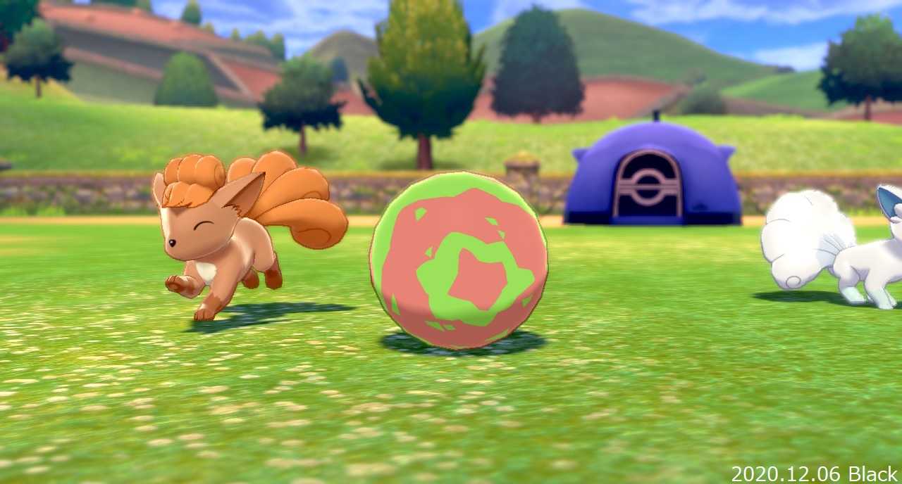 紅白ロコン Game Field 楽天ブログ