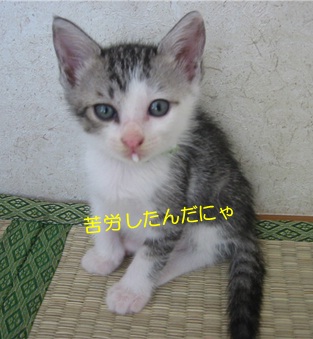 20120706_2.jpg