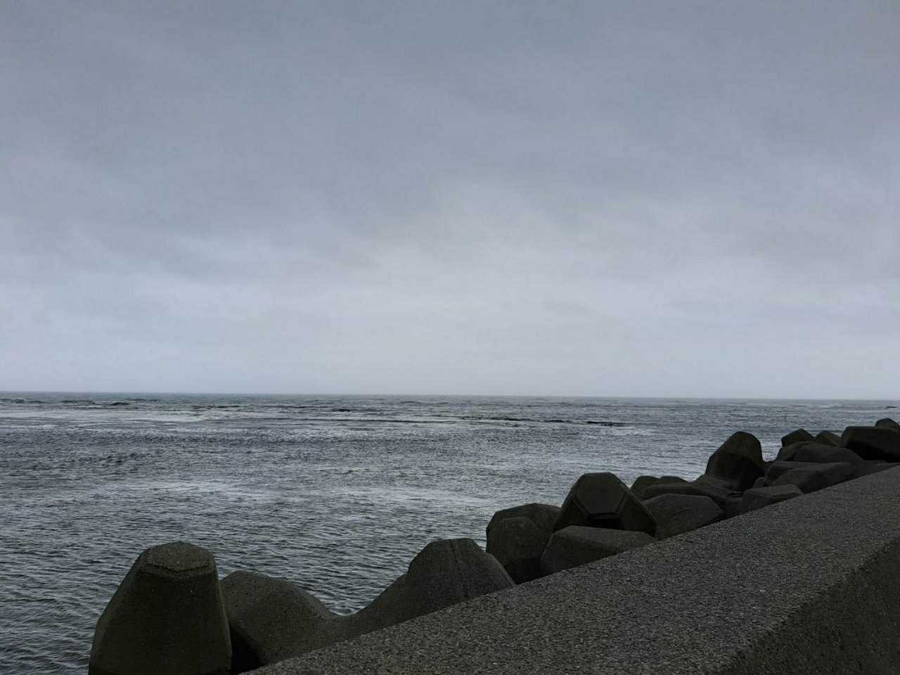 今日も南西強いですね 勝浦アウターのブログ 楽天ブログ