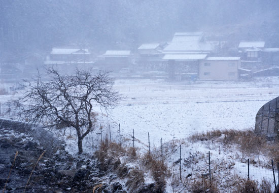 雪７
