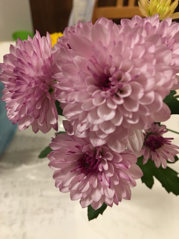 rblog-20190131192750-02.jpg