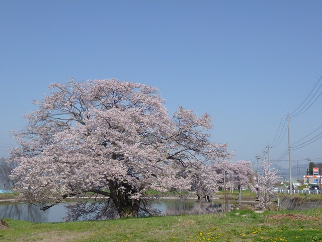 P1000340.JPG