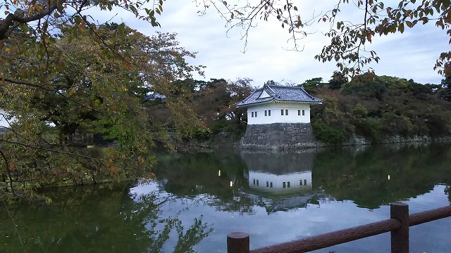 DSC_0285.jpg