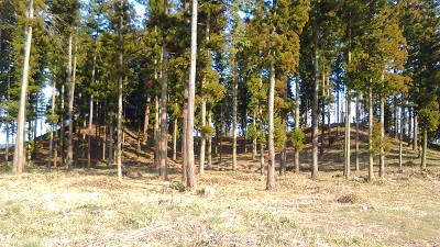 摩利支天古墳２