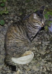 5DA_9375-20.jpg