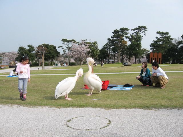 カッタくん さようなら やさしさをありがとう プラモデルの戦士たち The Realistic Modeler 楽天ブログ