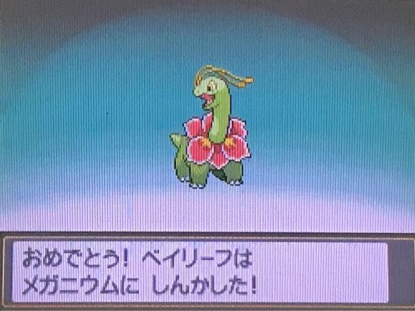 ｖｓ格闘ジム たこやきのポケモンブログ 楽天ブログ