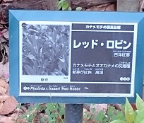 レッドロビン名札