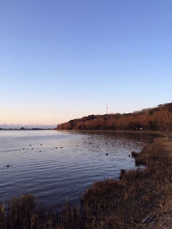 2016012109190000.jpg