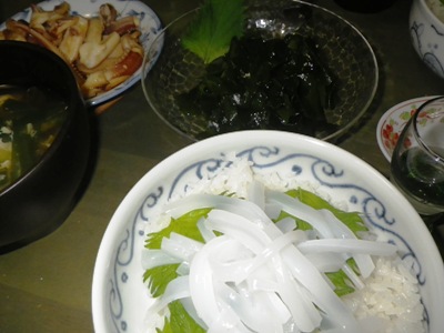 IMGP5592.JPG