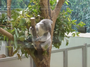 動物園