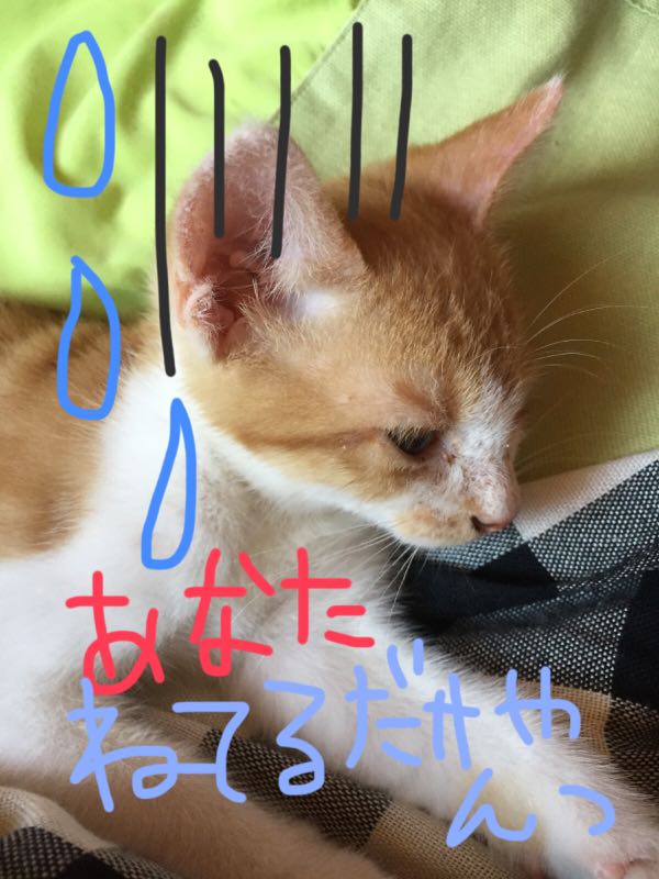 rblog-20150714223758-04.jpg