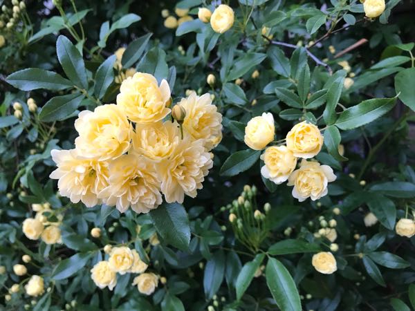 rblog-20190423182202-04.jpg