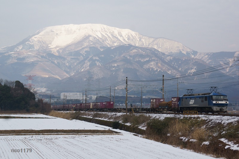 DSC_03606.jpg