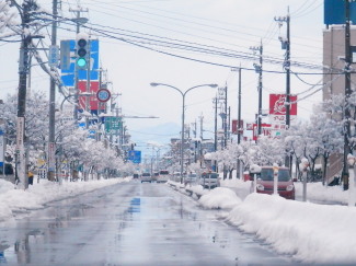 雪景色　1.3　1　2015