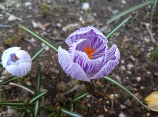 rblog-20140329071447-01.jpg