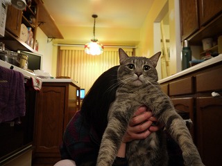 P1000127.jpg