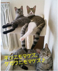 20120711_1.jpg