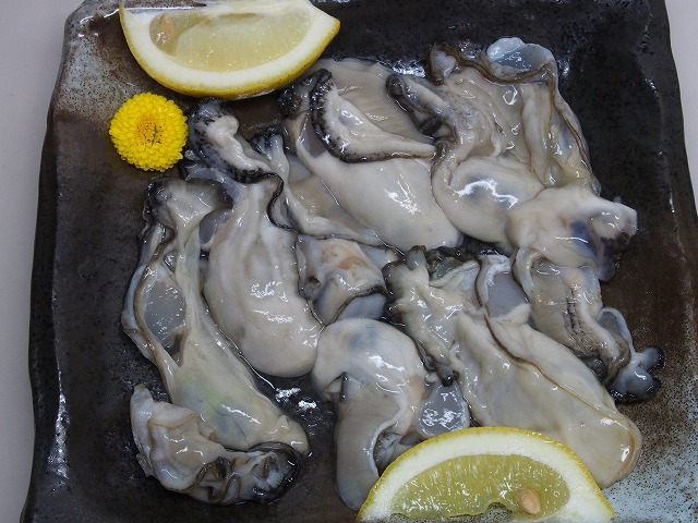 P2250017.jpg