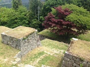 05.jpg