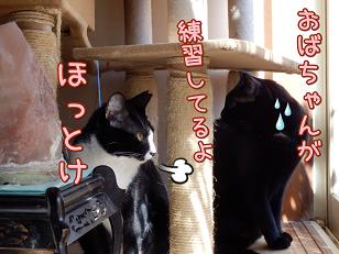 おばちゃん練習.JPG