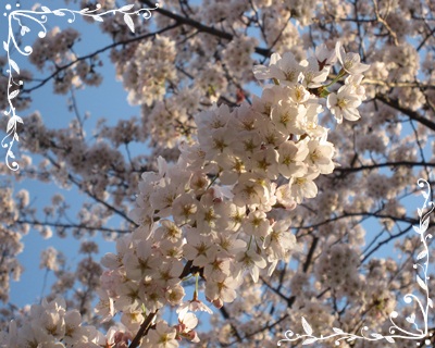 015 20120405.JPG