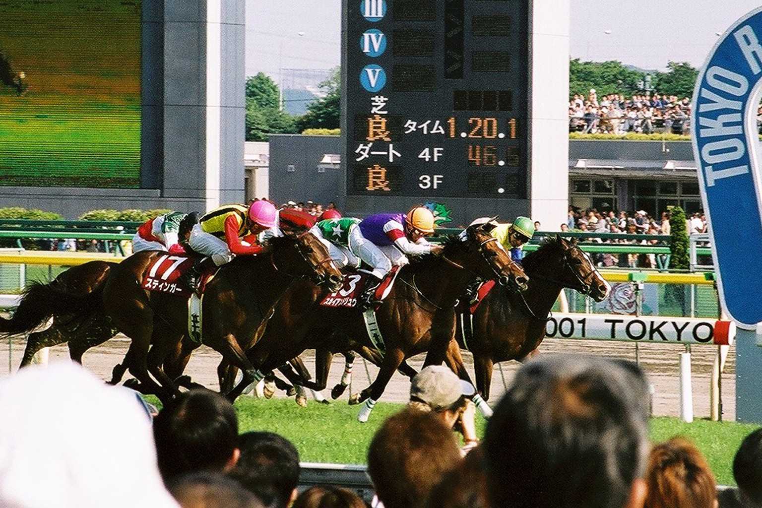 「いつかは当たる」競馬予想 「いつかは当たる」予想屋正和・ダイユウサクと一緒に 楽天ブログ