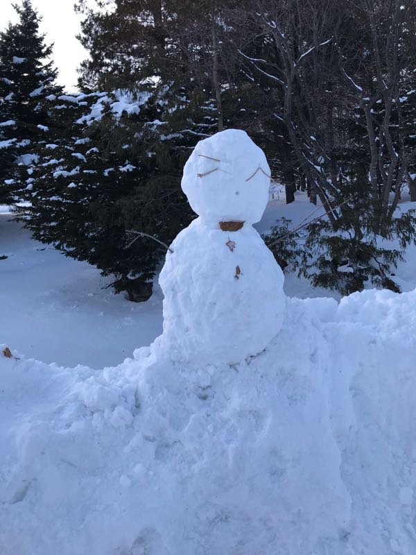 rblog-20190131195325-06.jpg