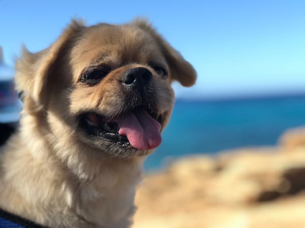 rblog-20190125225043-01.jpg