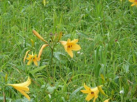 2012.7.7 033.JPG