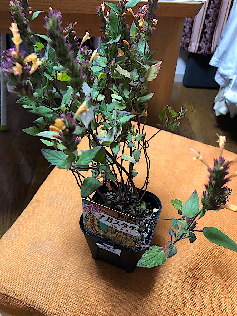 rblog-20181110012952-01.jpg