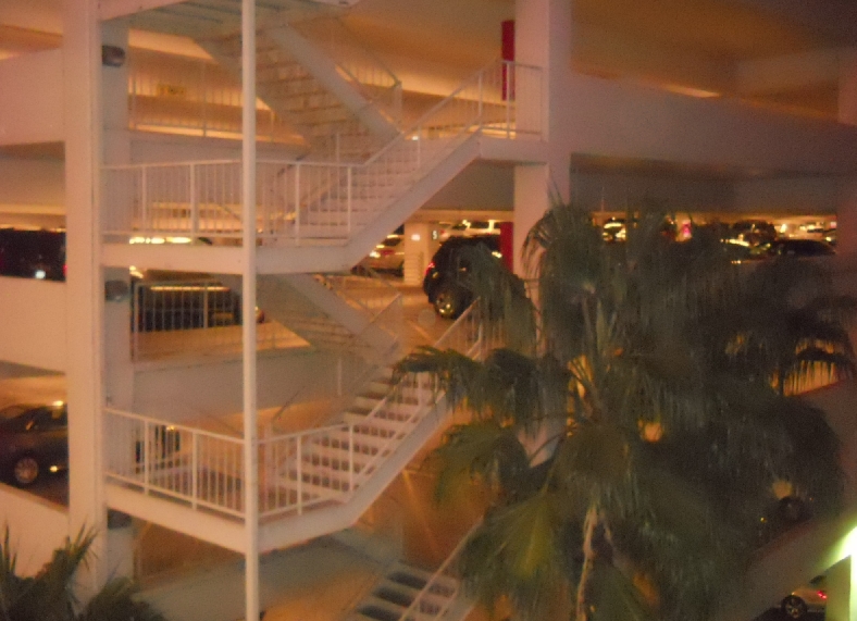 DSCN2808.jpg