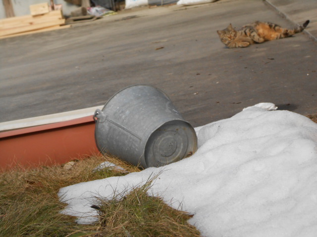 DSCN0925.JPG