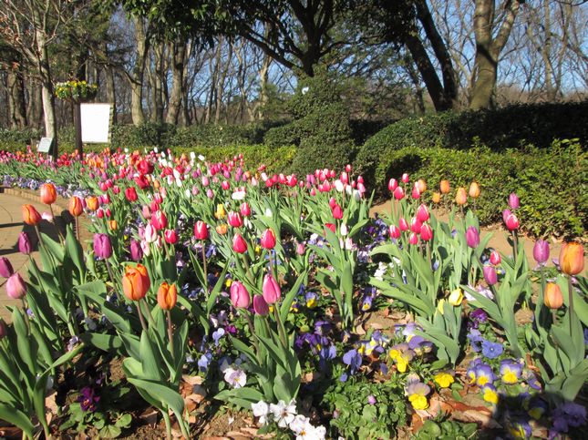 アンデルセン公園_0868.jpg