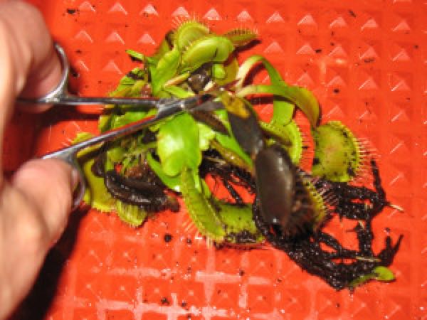 rblog-20180103180452-02.jpg