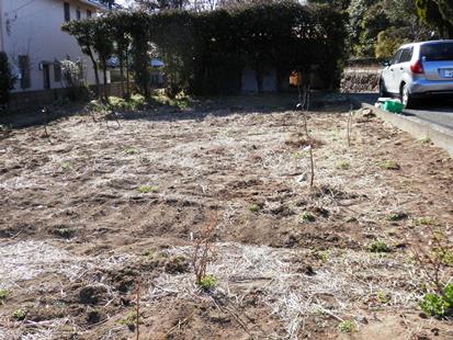 P3250024木を植えたブログ.jpg