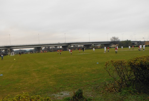 MAGカップ写真 2.jpg