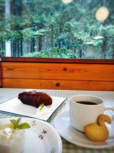 森と湖とコーヒーとケーキ（櫛形山 北伊奈ヶ湖） | 醍醐山と下部（しもべ）温泉 - 楽天ブログ