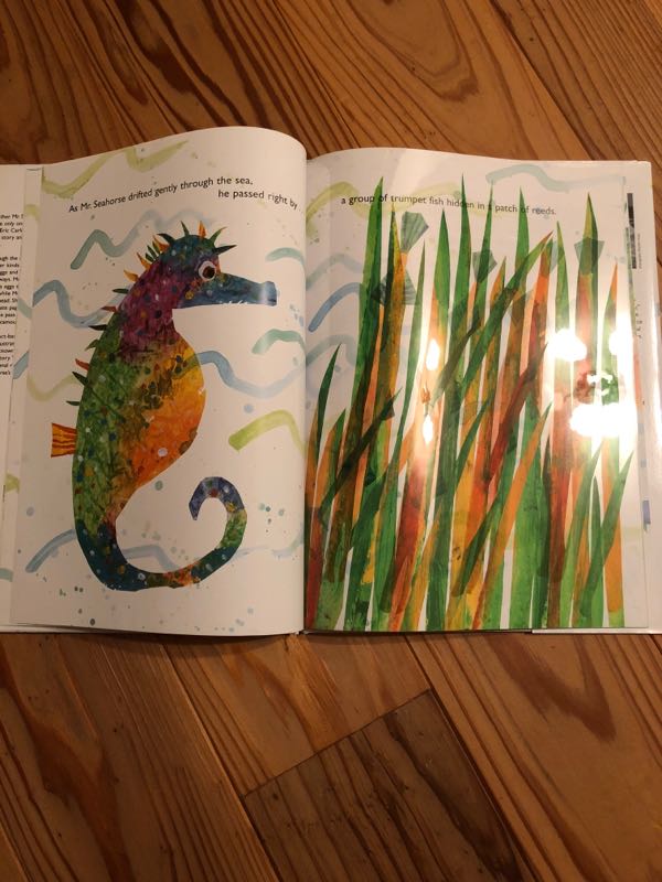 英語絵本mister Seahorse エリックカール 売店