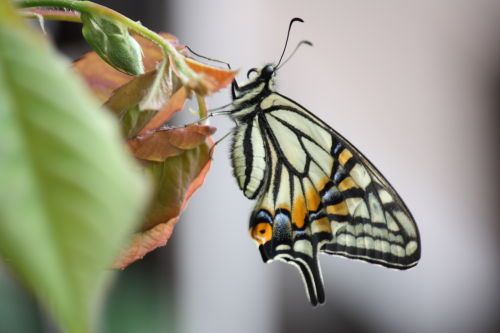 2015042901.JPG