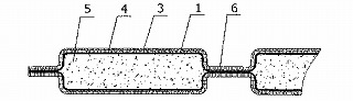 2009219875