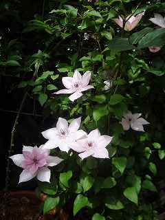 DSC05259.jpg