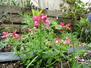 IMG_8907ss.jpg