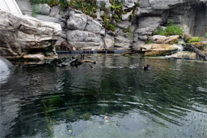 小名浜146.jpg