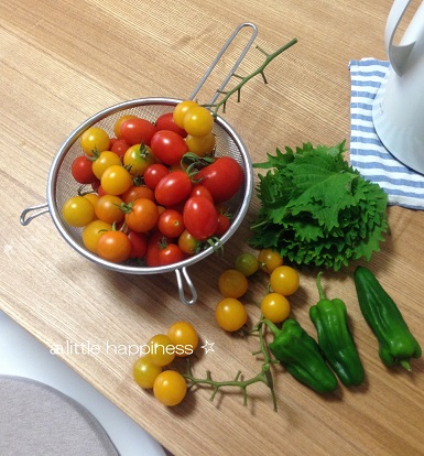 携帯写真 120.jpg