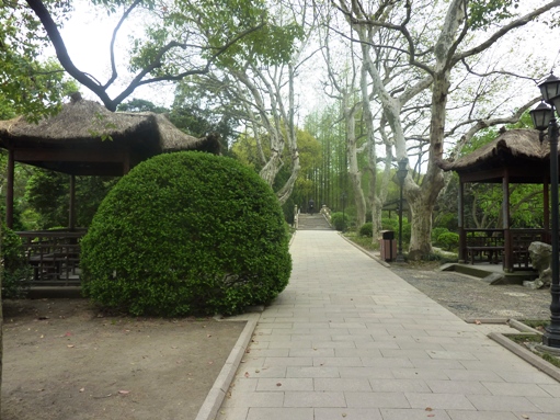 P1030391酔白池１８.JPG