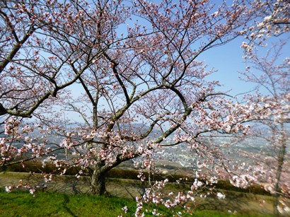 a-P1040457.jpg