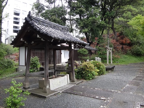 DSC09188.JPG